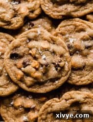 Butterscotch Chocolate Chip Cookies topped with sea salt.
