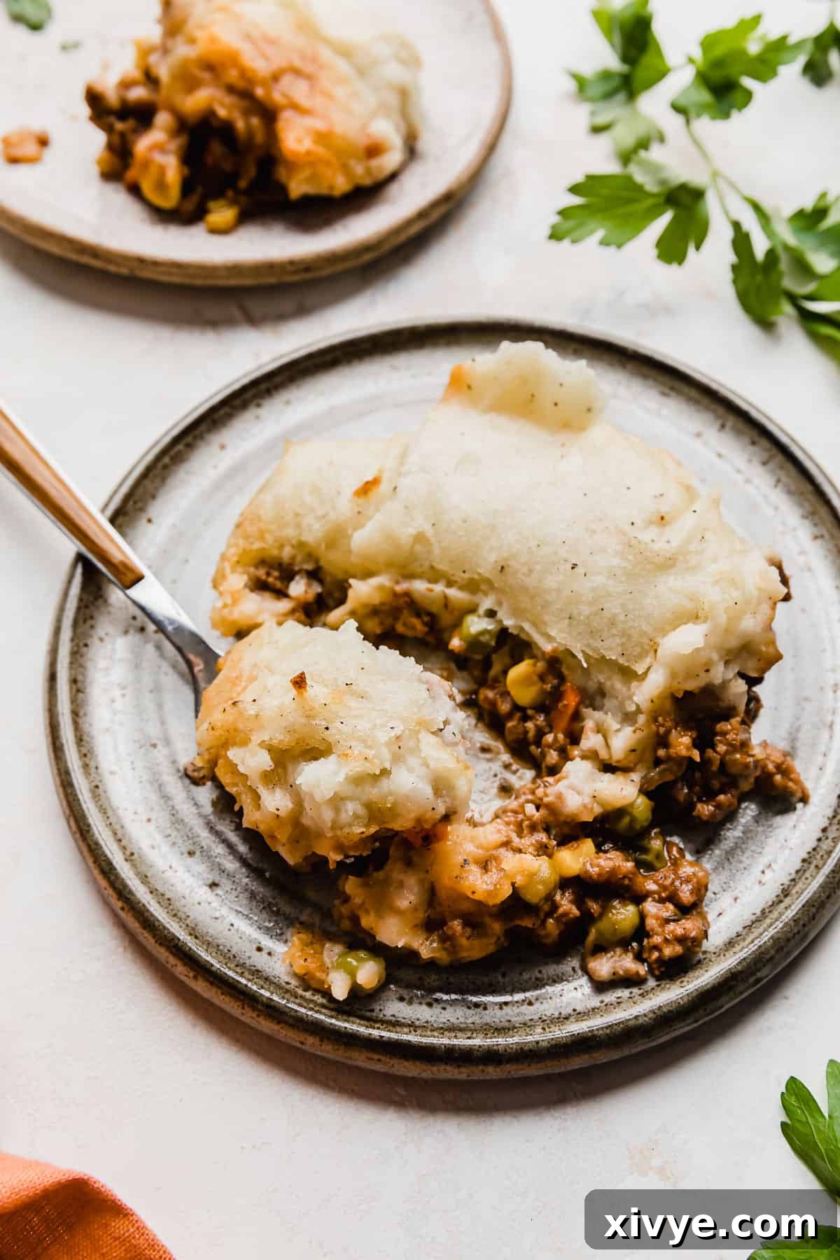 A chunk of Easy Shepherd's Pie Recipe on a gray plate, showcasing the golden mashed potato topping and savory meat and vegetable filling.