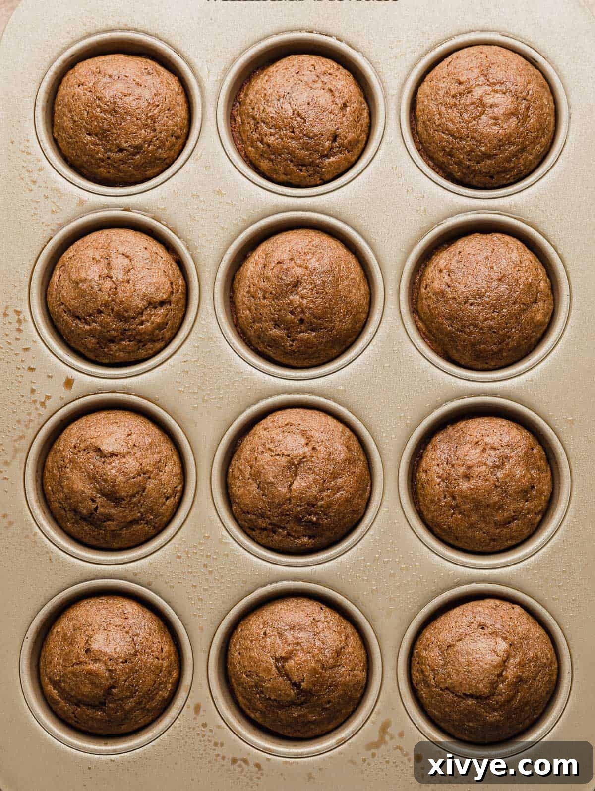 Hearty Buttermilk Bran Muffins 12 Baked all bran muffins made with buttermilk in a 12 capacity muffin tin.