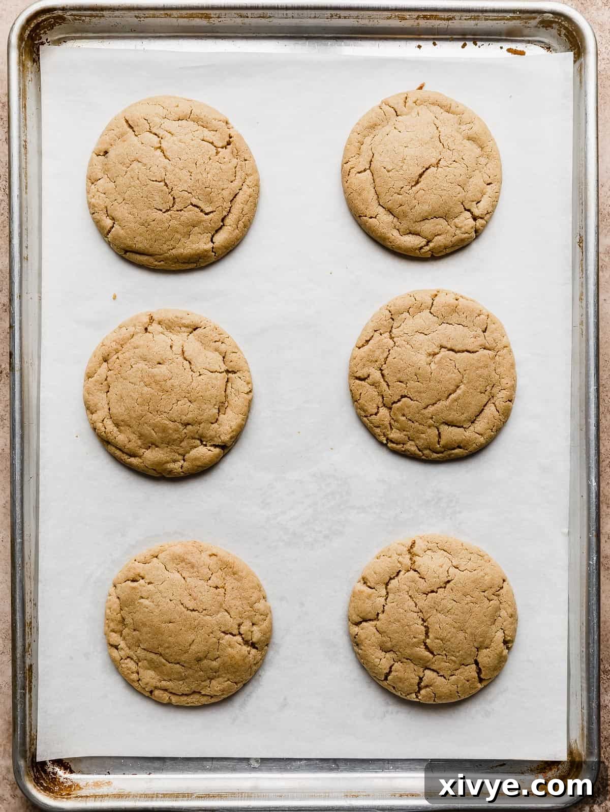 Six perfectly baked peanut butter cookies cooling on a white parchment-lined baking sheet, showcasing their characteristic crackled tops.