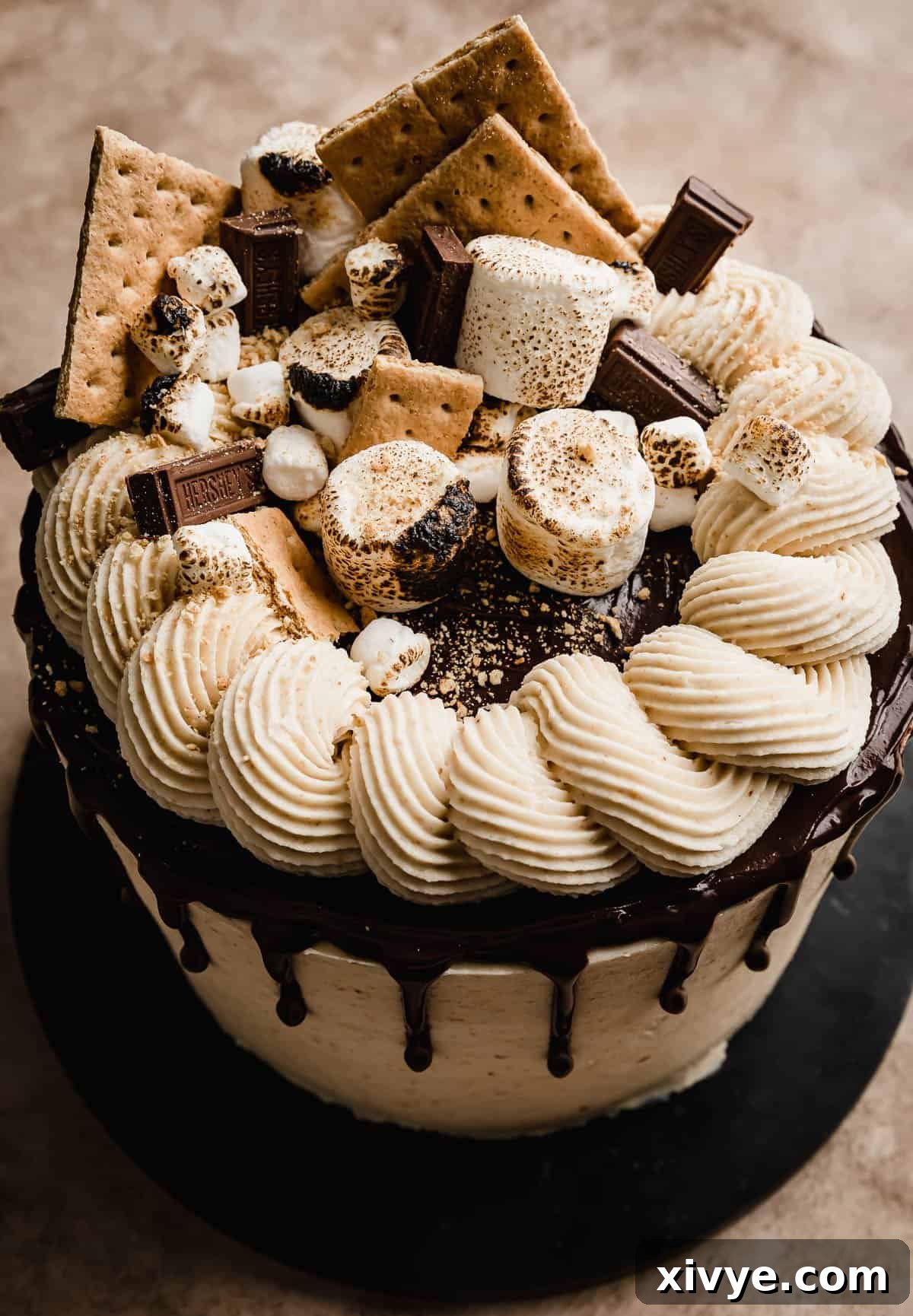 The top of a S'mores layer cake decorated with graham crackers, toasted mini and large marshmallows, and chocolate squares. 