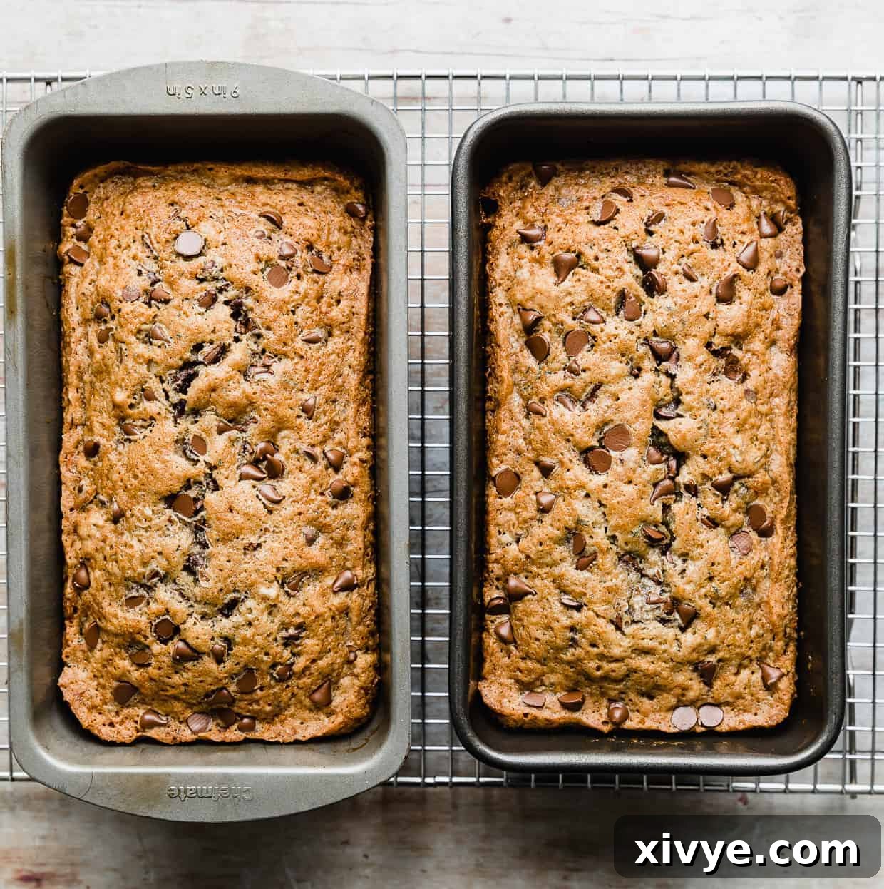 Baked golden brown Chocolate Chip Zucchini Bread in two bread pans, side by side.