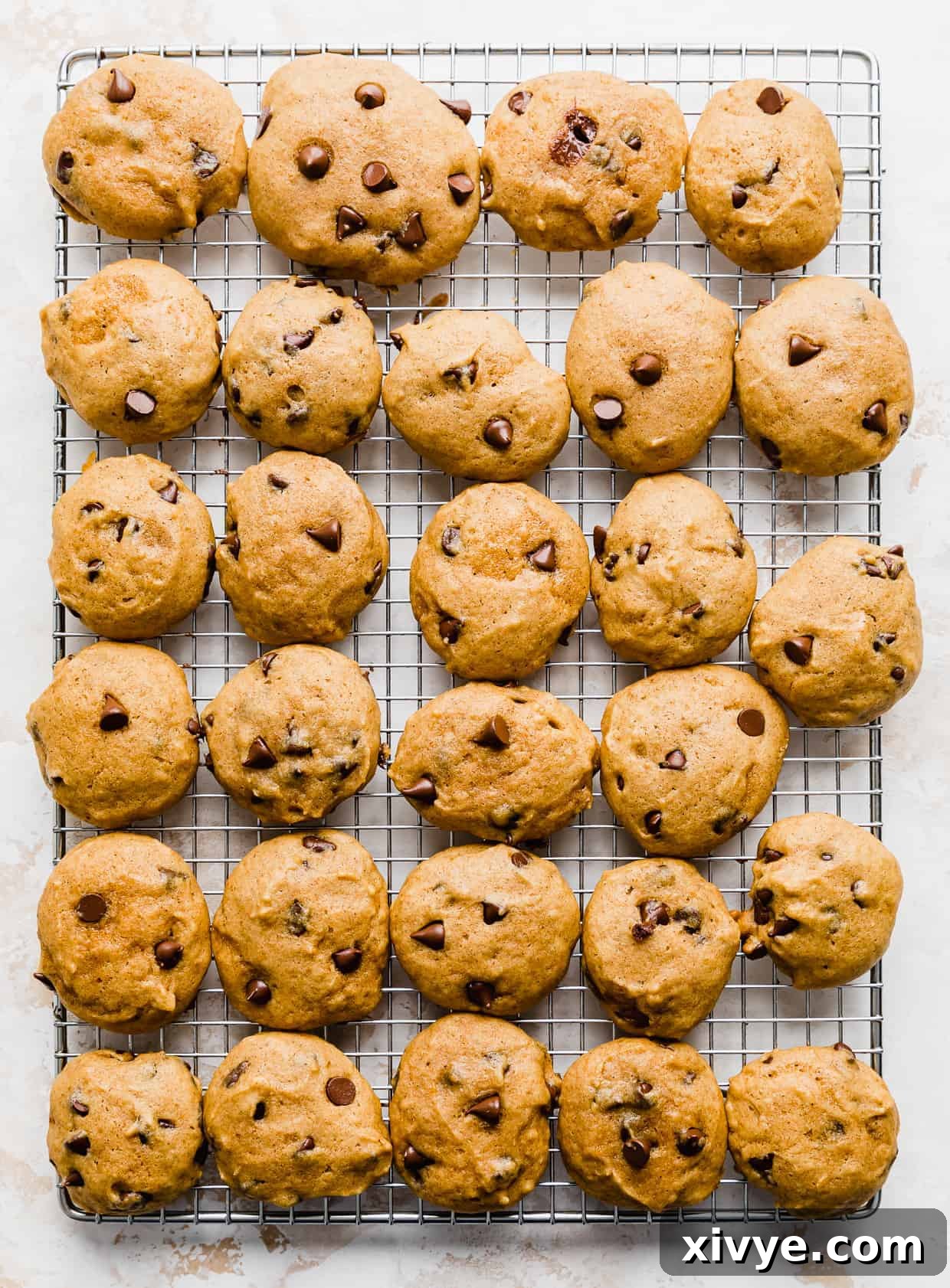 Freshly baked Pumpkin Chocolate Chip Cookies cooling on a silver wire rack against a clean white background, showcasing their soft texture and melted chocolate chips.
