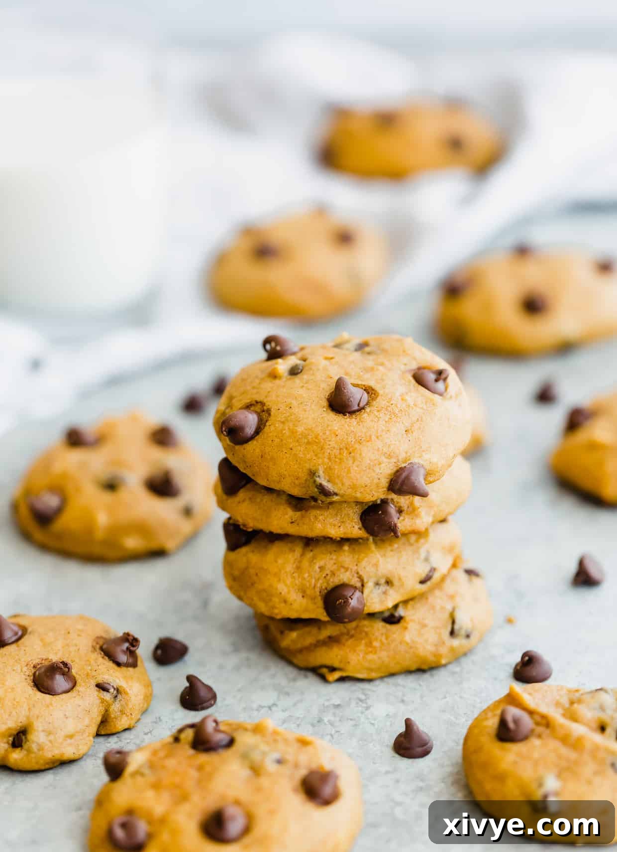 A beautifully composed shot of a stack of four soft pumpkin chocolate chip cookies, with extra chocolate chips scattered invitingly around them, highlighting their rich texture and deliciousness.