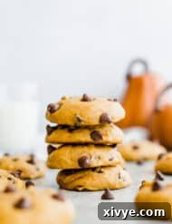 Finished Pumpkin Chocolate Chip Cookies with a delicious texture, ready to be enjoyed.