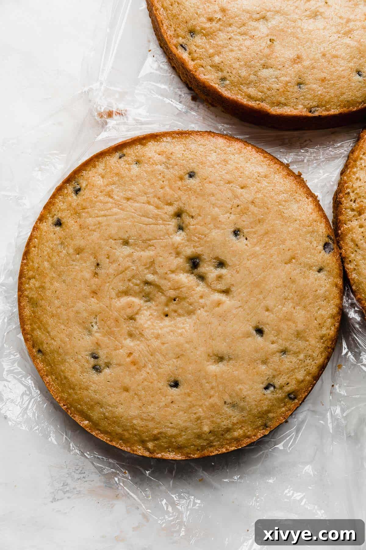 A round Cookie Dough cake layer studded with mini chocolate chips on a white background.