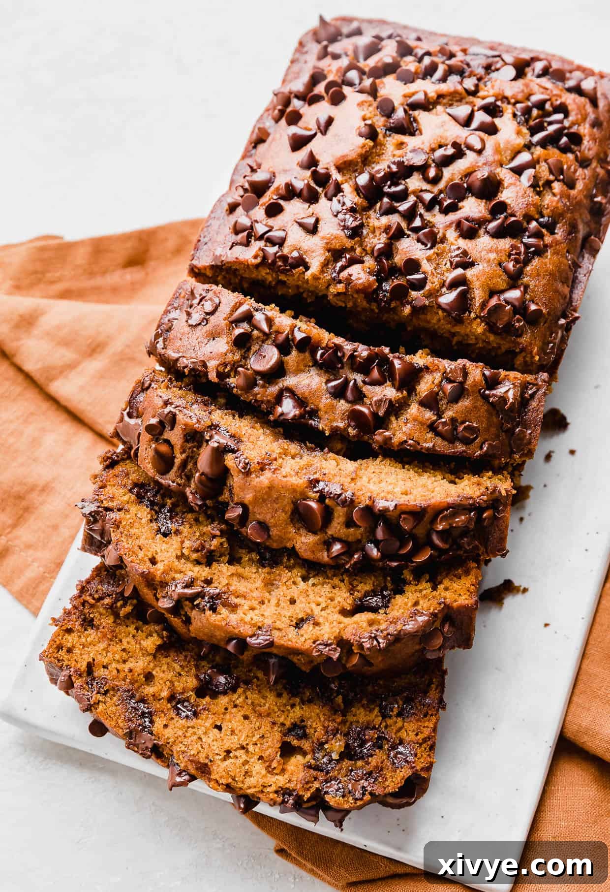 Spiced Pumpkin Chocolate Chip Bread 2 A sliced Pumpkin Chocolate Chip Bread on a white plate, showcasing its moist texture and abundant chocolate chips.