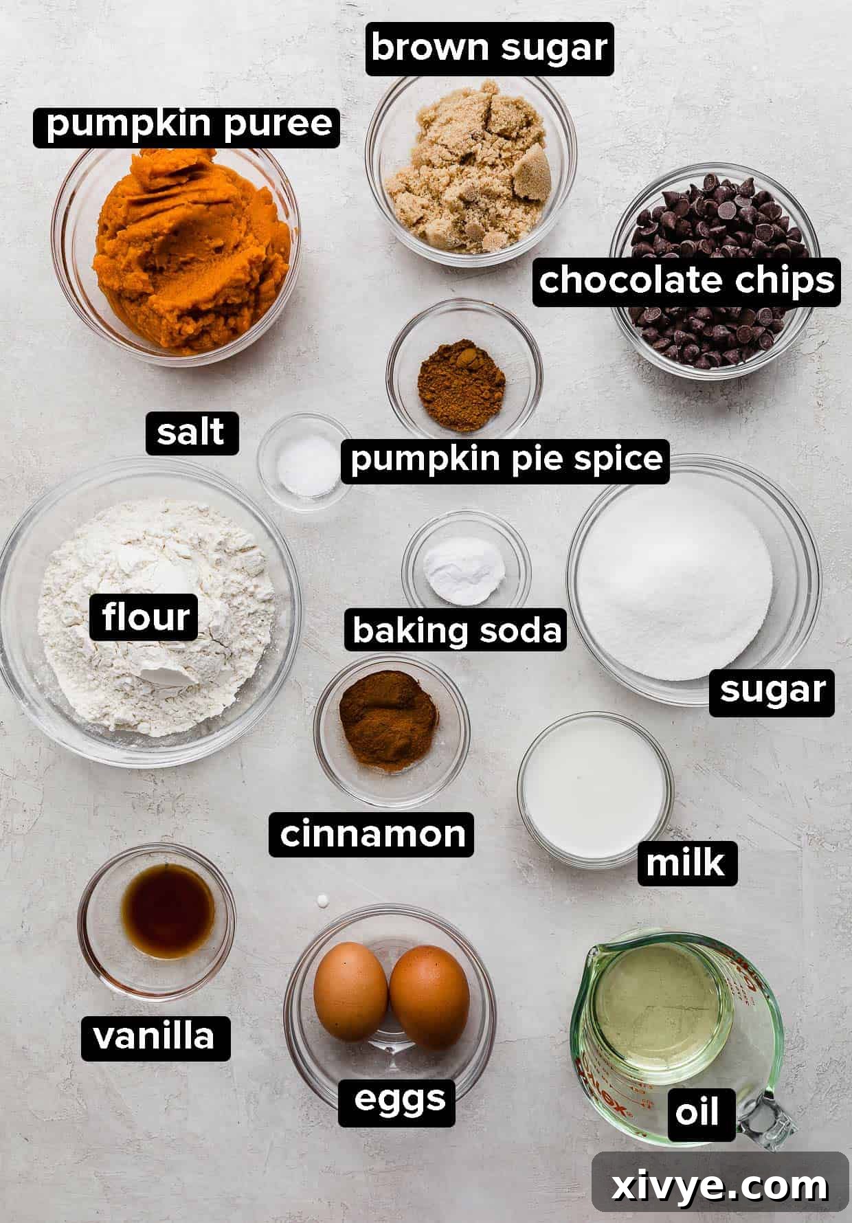 Spiced Pumpkin Chocolate Chip Bread 3 Pumpkin Chocolate Chip Bread ingredients portioned into glass bowls on a light gray background, ready for baking.