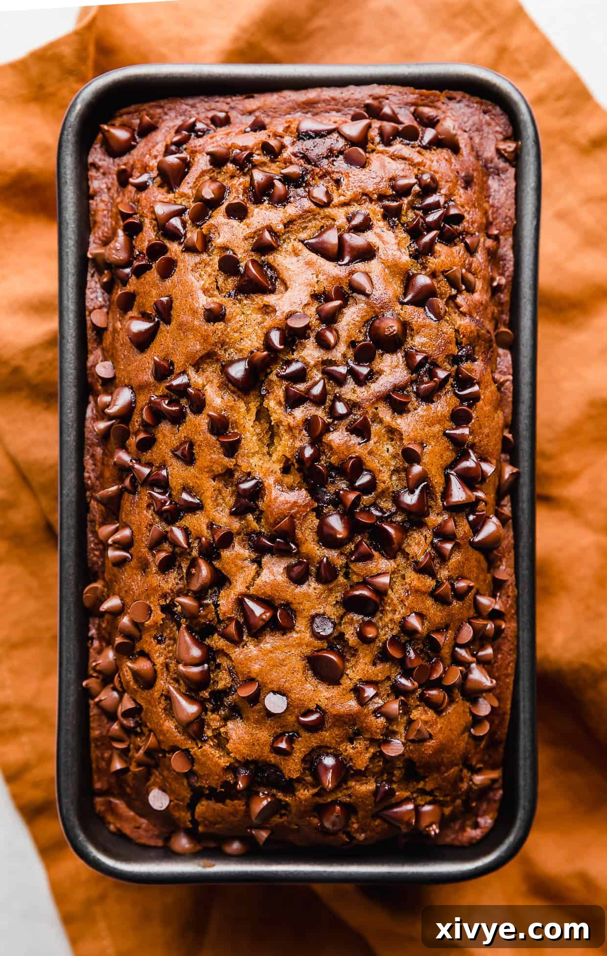 Spiced Pumpkin Chocolate Chip Bread 7 Freshly baked Pumpkin Chocolate Chip Bread in a loaf pan on a burnt orange napkin, perfectly golden brown.