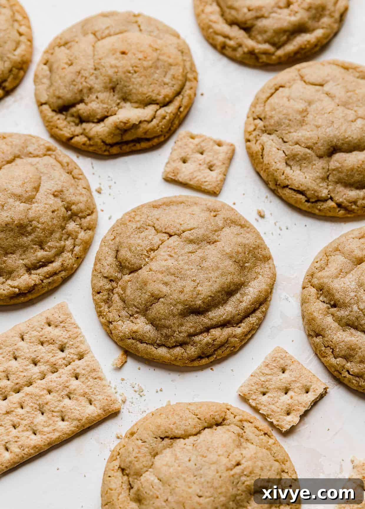 Baked Graham Cracker Cookies on a white background with graham cracker squares near the cookies.