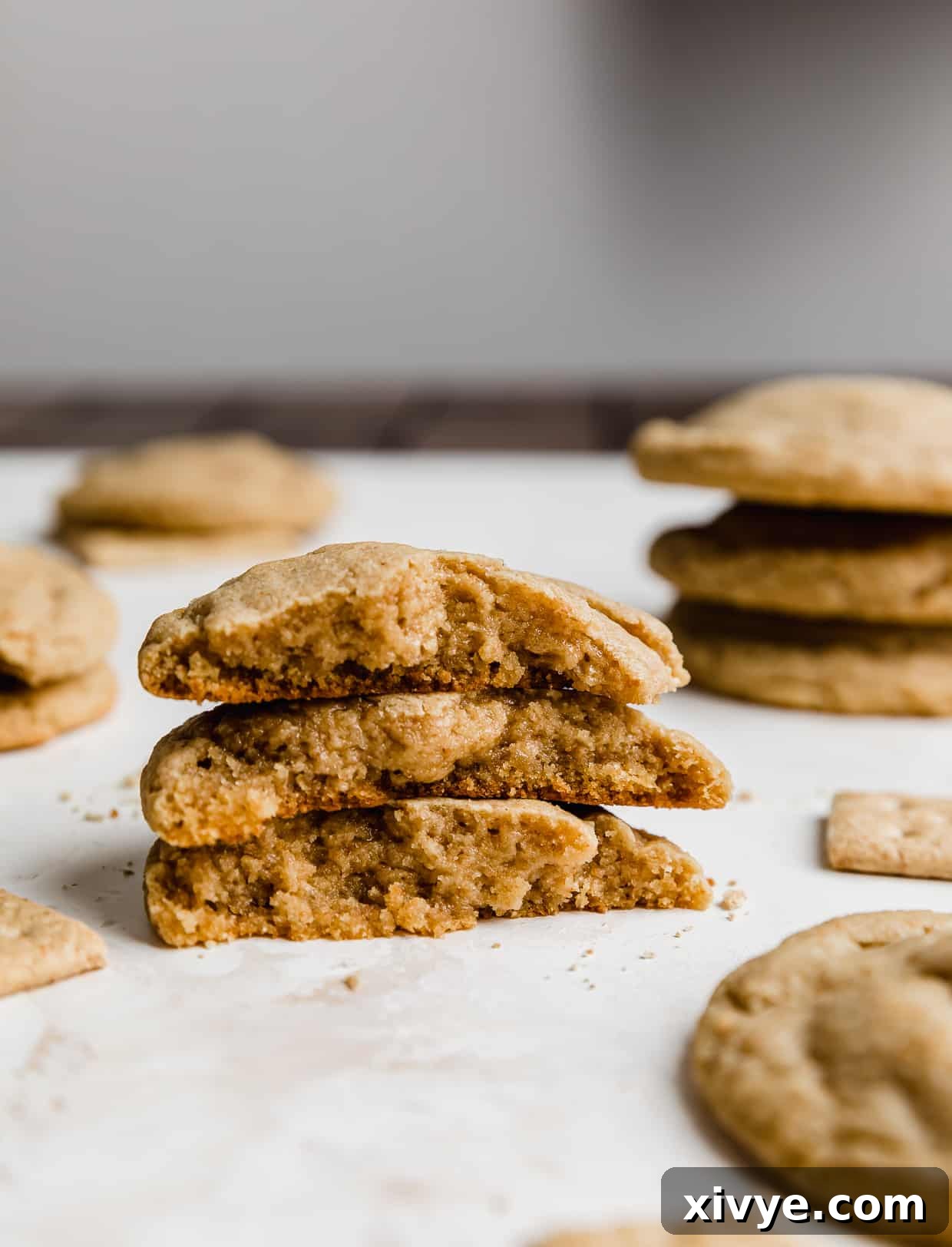 Three Graham Cracker Cookie halves stack on top of each other.