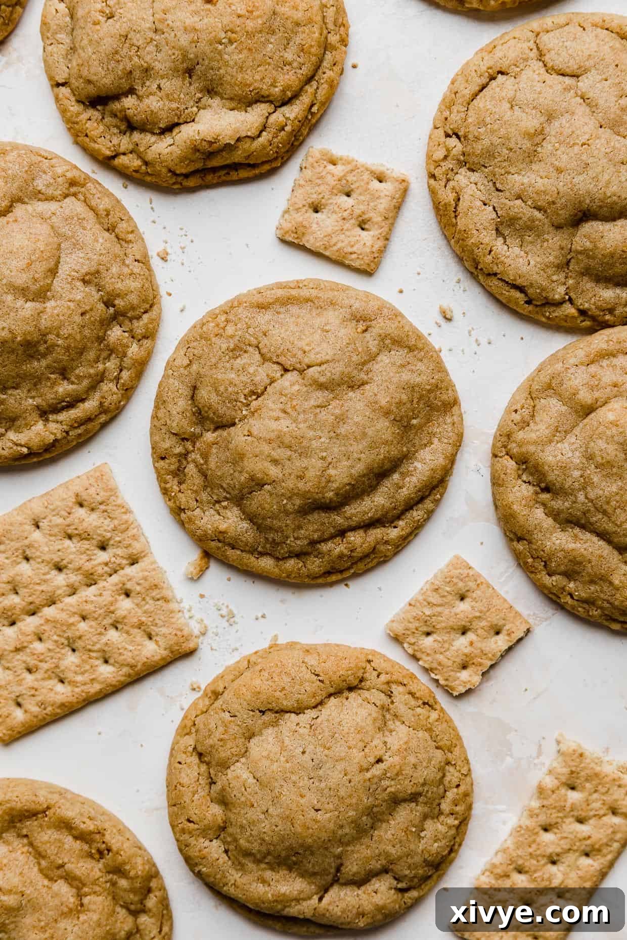 Baked Graham Cracker Cookies on a white background with a few rectangular graham crackers surrounding the cookies.