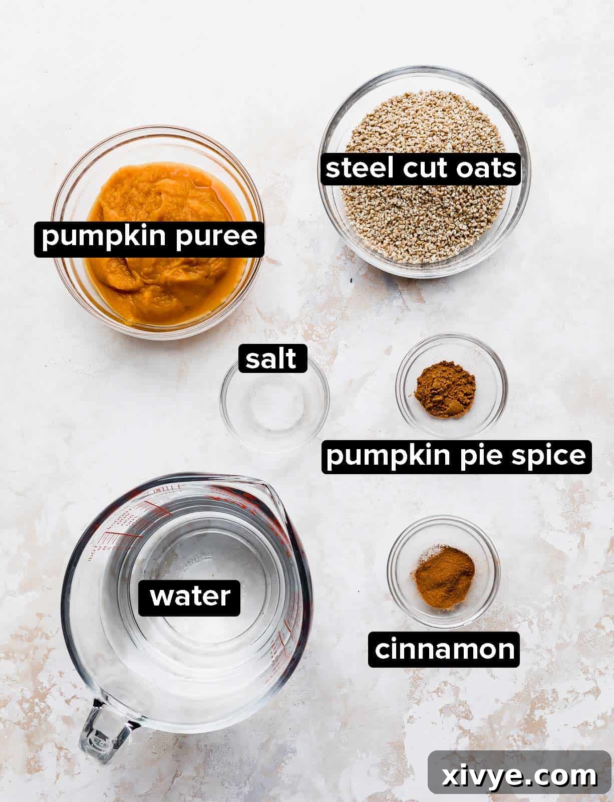 Spiced Pumpkin Steel Cut Oats 3 Pumpkin Steel Cut Oats ingredients on a textured white background.