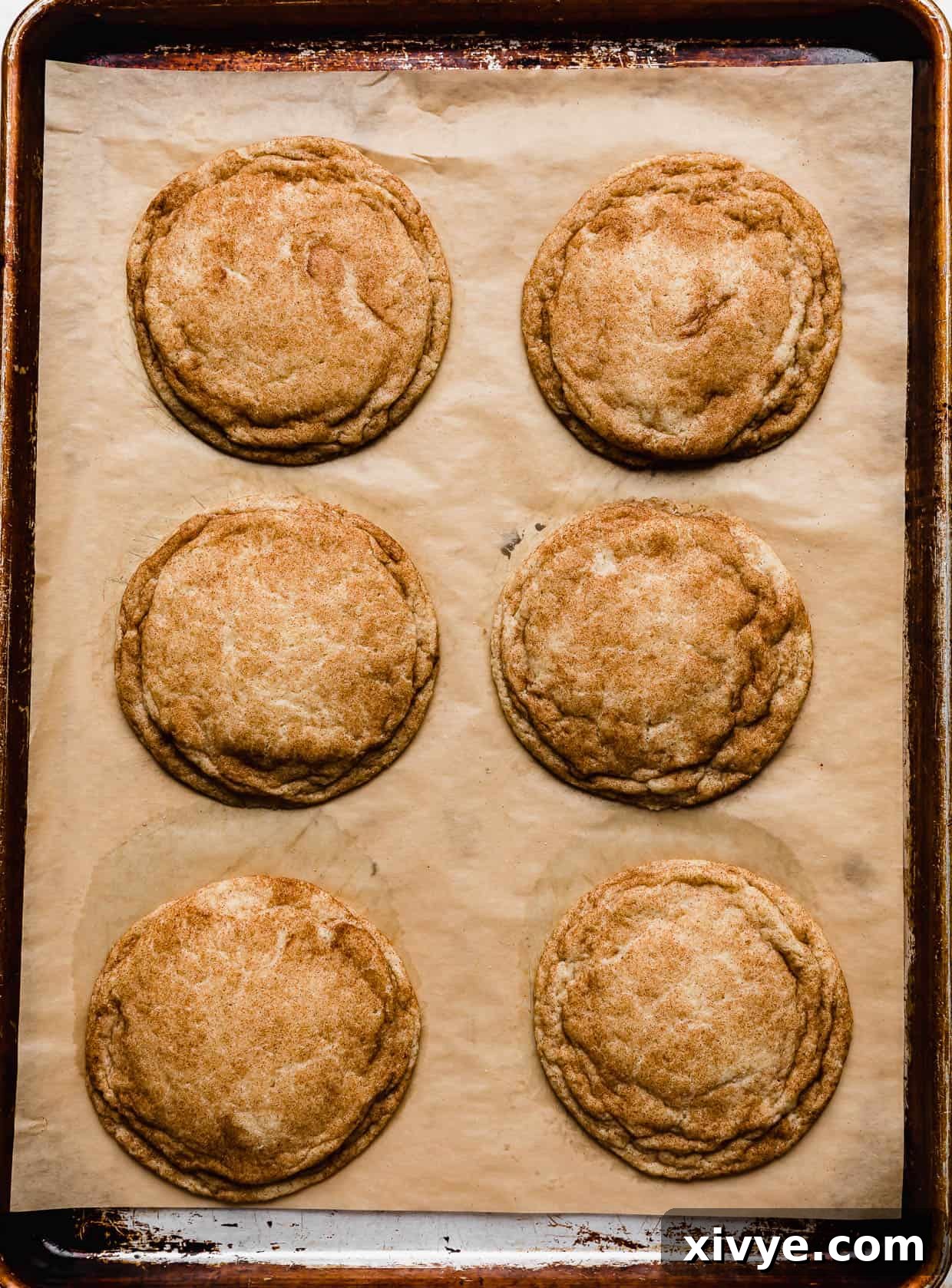 Your Ultimate Crumbl Snickerdoodle Copycat Recipe 7 Six baked large snickerdoodle cookies on a baking sheet.