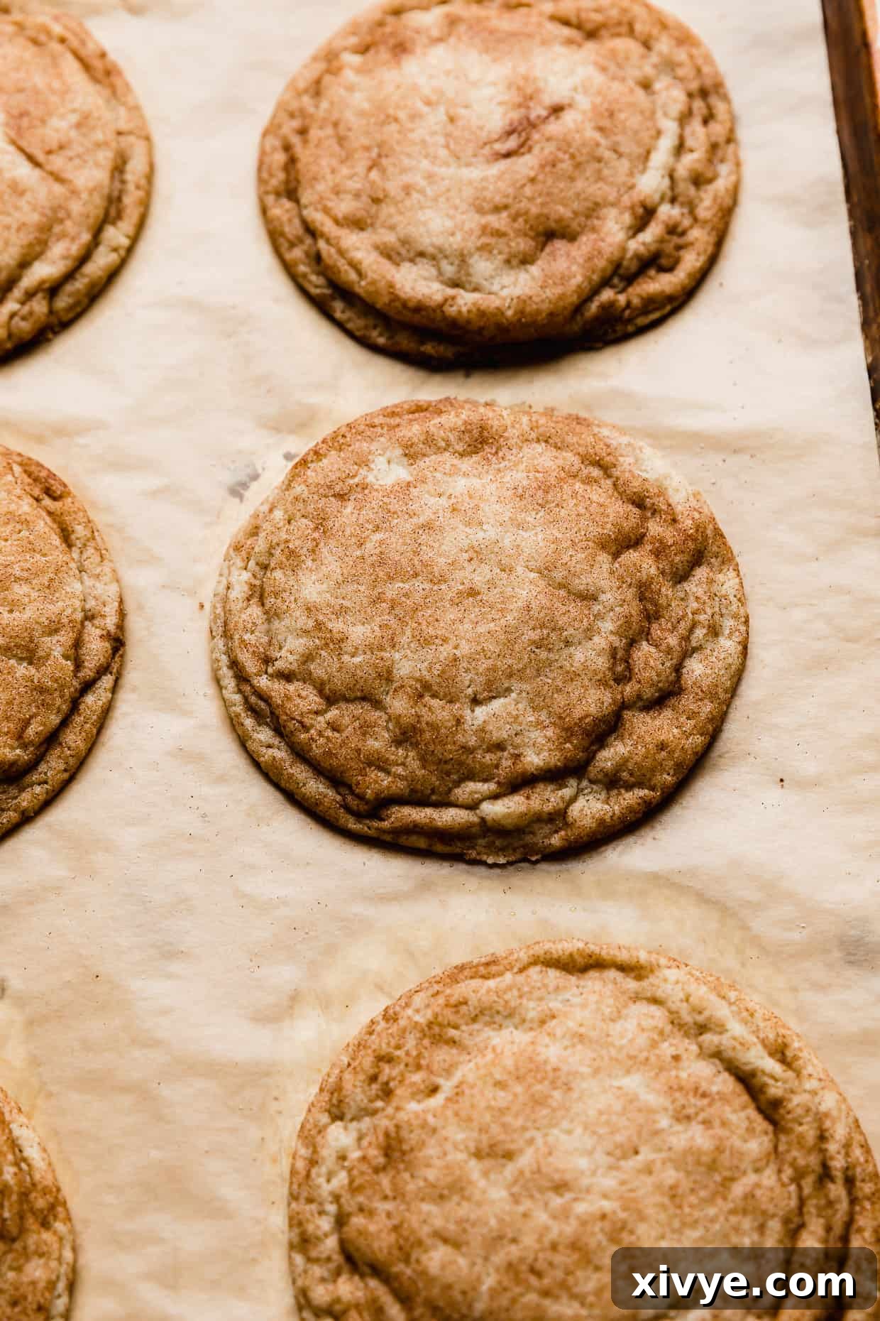 Your Ultimate Crumbl Snickerdoodle Copycat Recipe 8 A large Crumbl thin Snickerdoodle cookie on a baking sheet.