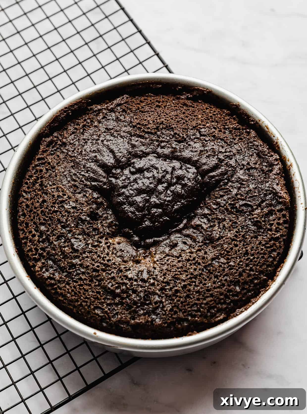 Spellbinding Harry Potter Birthday Delight 6 A single chocolate cake in a round cake pan, used to make a happy birthday harry cake.