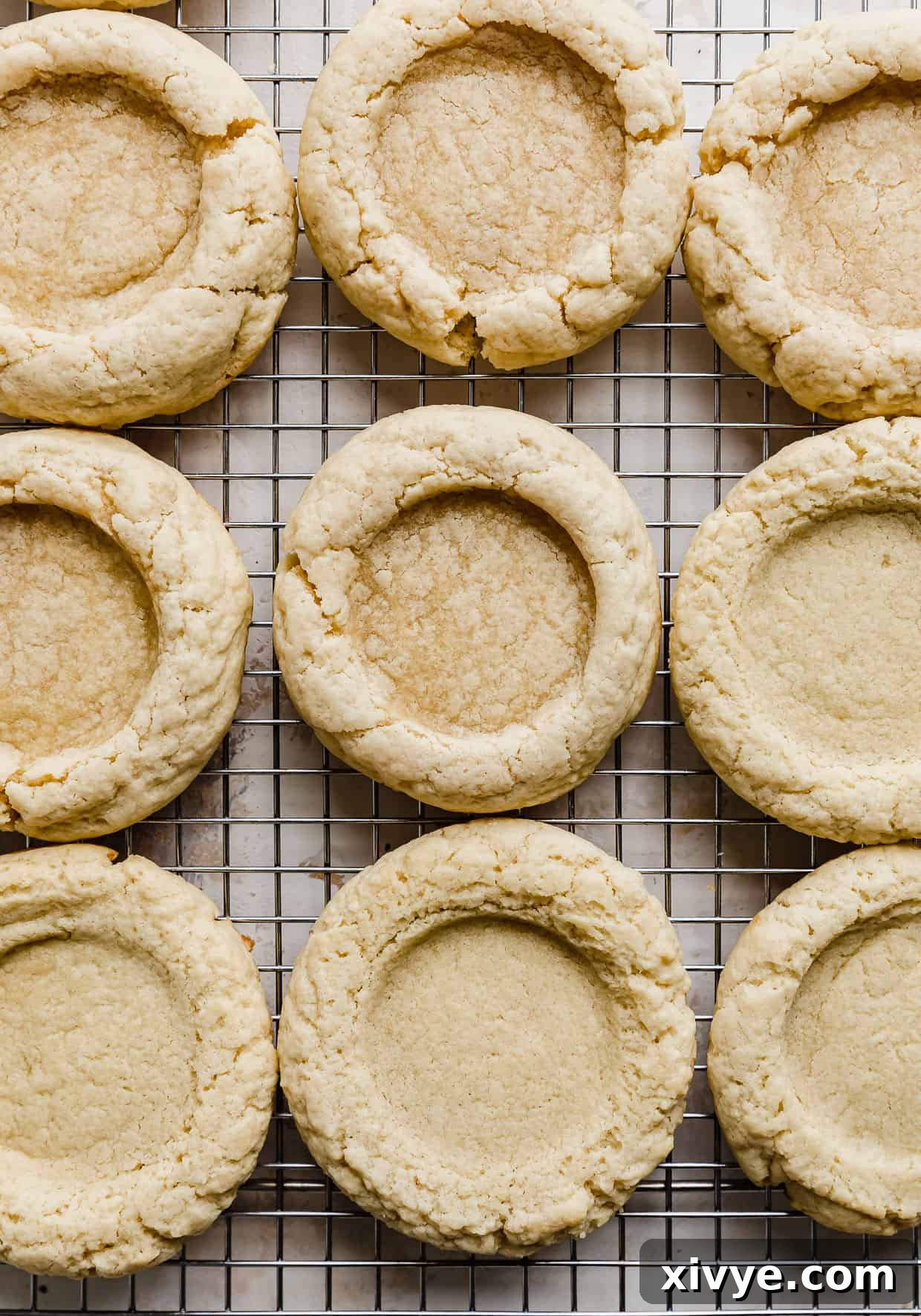 Baked Boston Cream Pie sugar cookies with perfect indent cavities ready for filling.