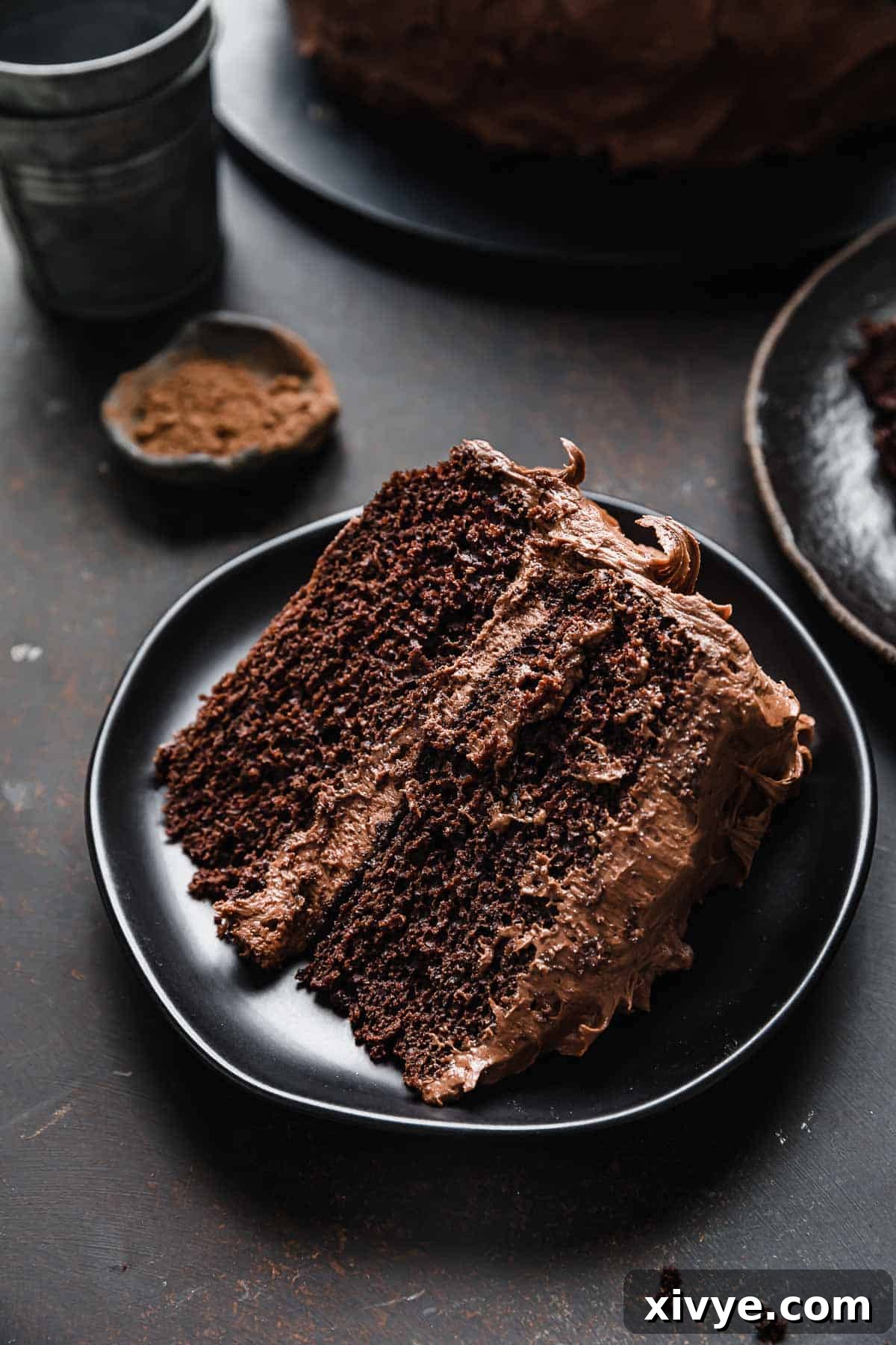 A slice of double layer chocolate cake on a black plate iced with chocolate cream cheese frosting, showcasing its moist texture.