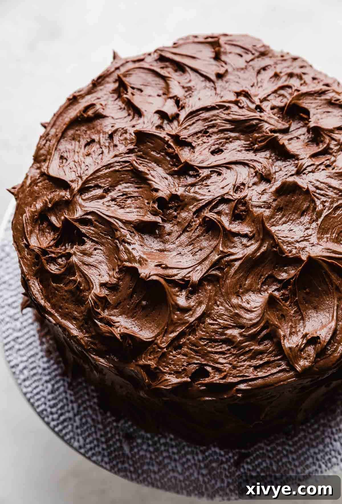 A beautifully frosted chocolate cake with chocolate cream cheese frosting on a cake stand against a white background.