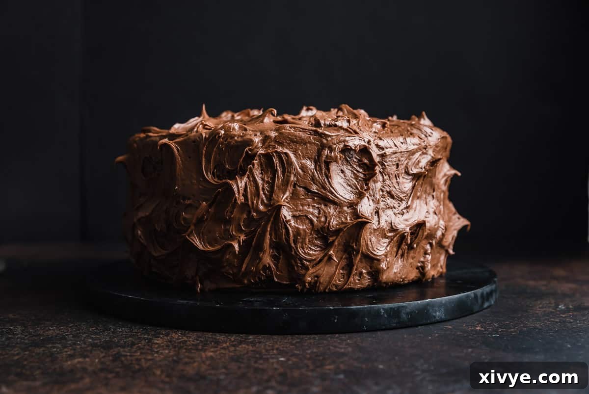 A two layer chocolate cake on a black cake plate against a black background, highlighting its rich color.