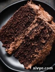 Two layer chocolate cake recipe frosted with a cream cheese chocolate frosting.