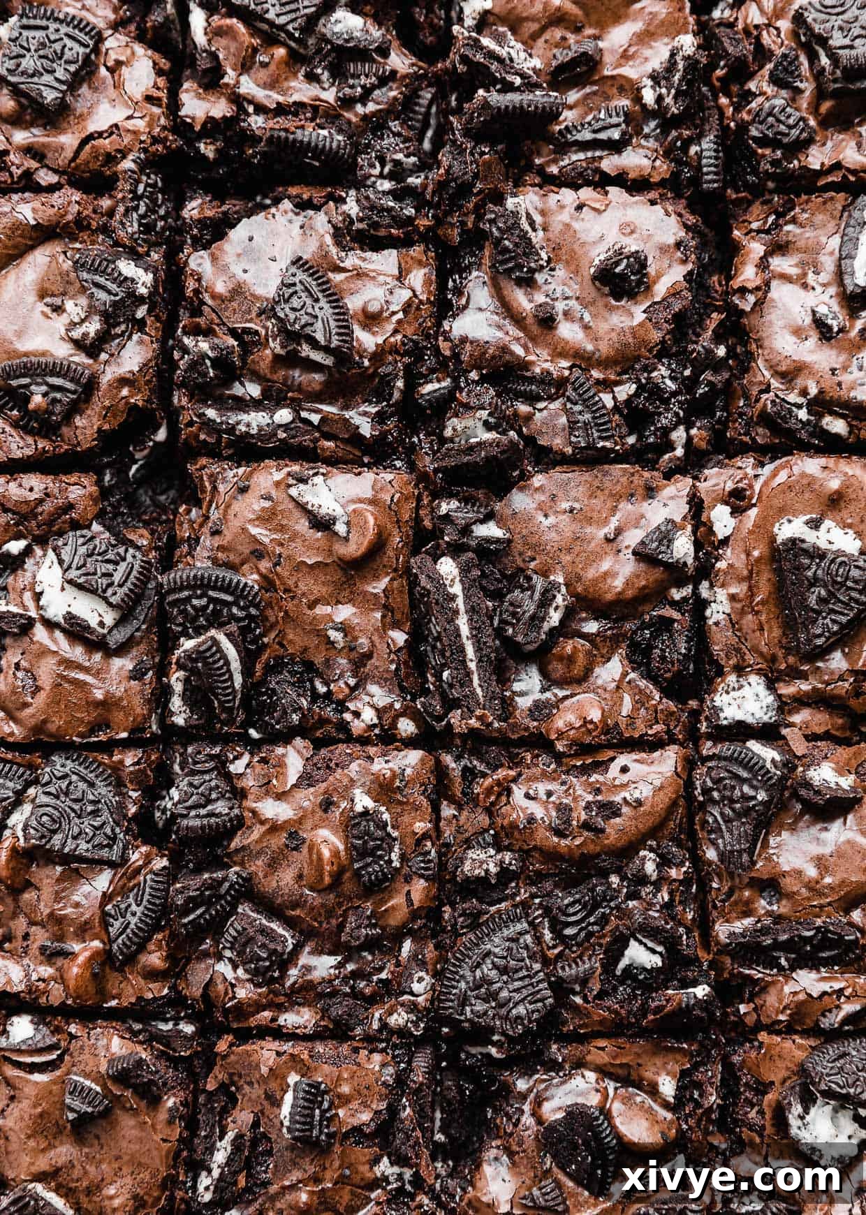 Cookies and Cream Fudge Brownies 2 Fudgy Oreo Brownies topped with chopped Oreos cut into small squares.