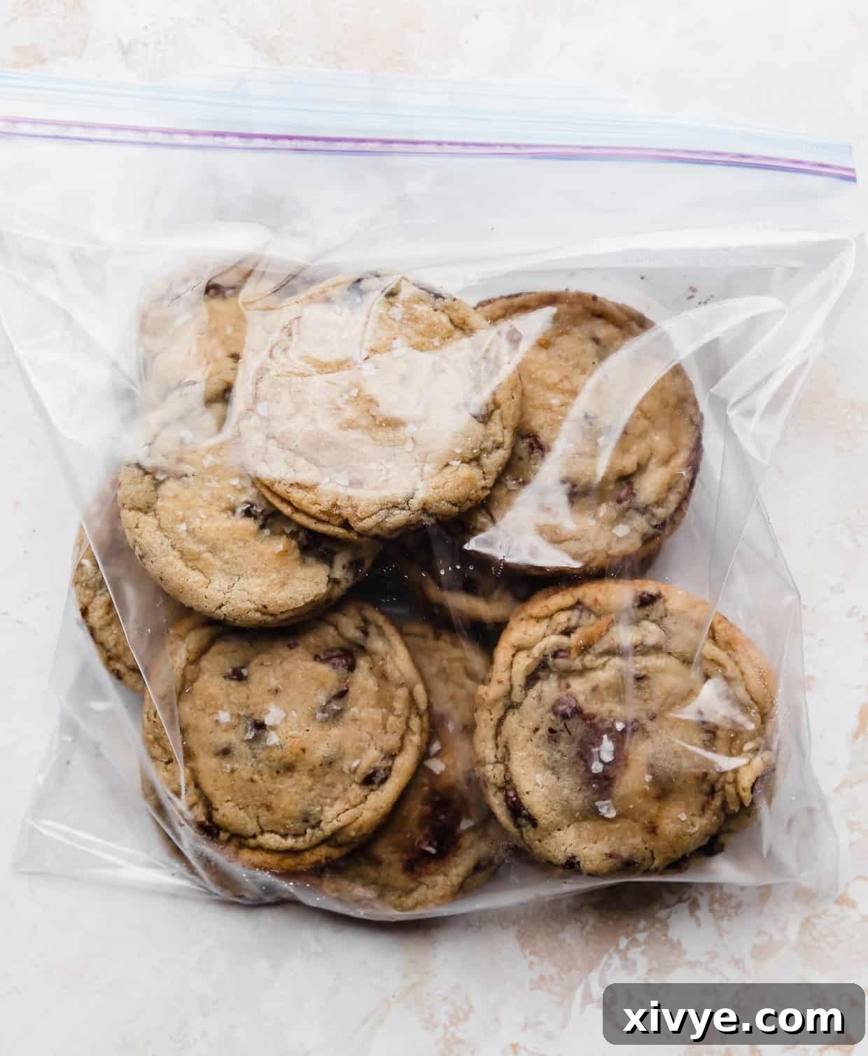 A ziplock bag filled with baked chocolate chip cookies.