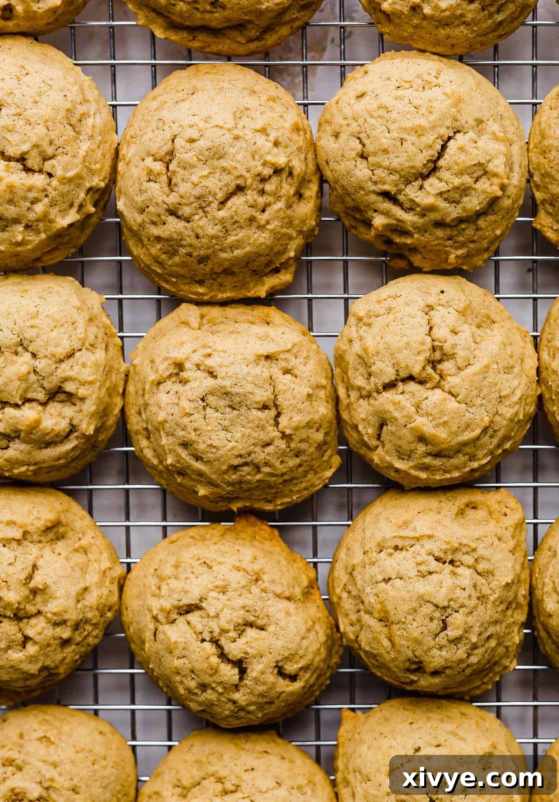 Baked pumpkin cookies on a cooling rack.