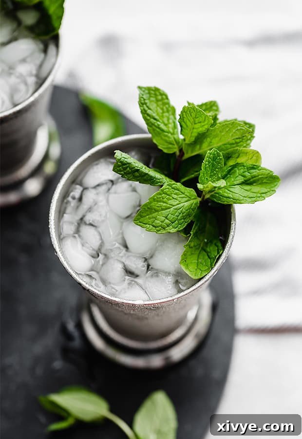 Overhead photo of a virgin mint julep.