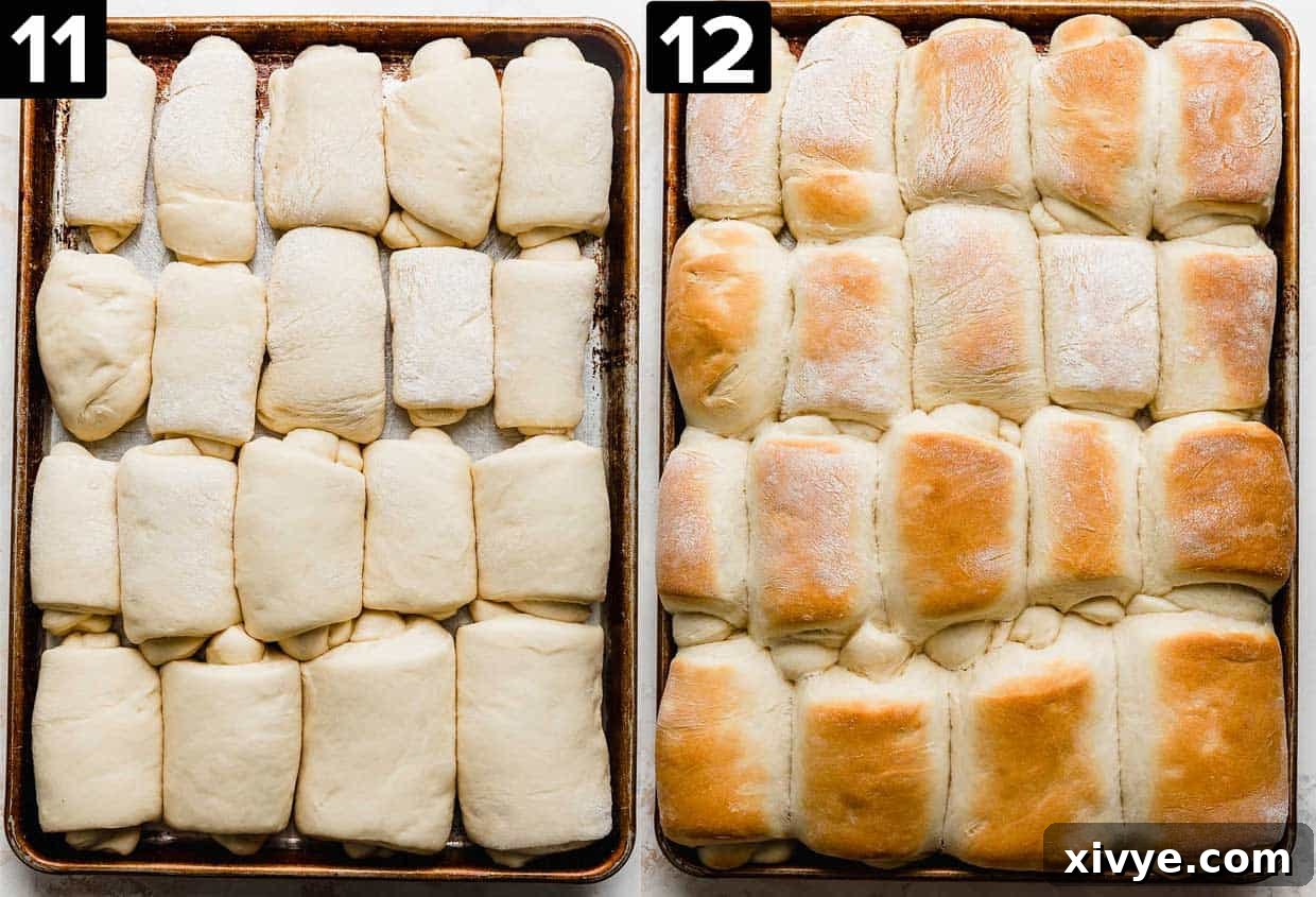 Two photos: left photo has unbaked Lion House Rolls lined up on a baking sheet; right photo is golden brown baked Lion House rolls on a baking sheet.