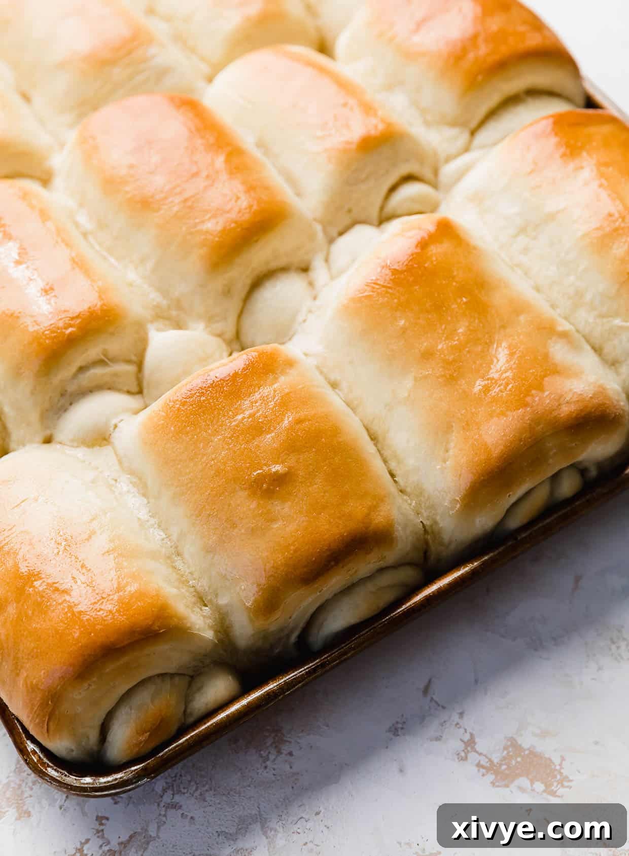 Easy Lion House Rolls that are golden in color, lined up on a baking sheet.