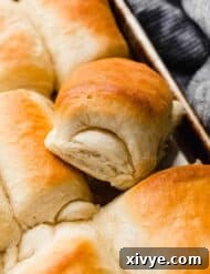 A side view of a baked Lion House Roll.