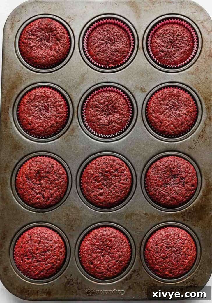 A twelve capacity cupcake pan filled with fully baked red velvet cupcakes.