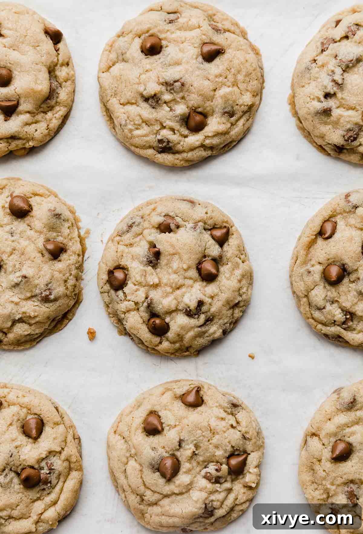 Homemade Milk Chocolate Chip Perfection 6 A batch of perfectly baked Milk Chocolate Chip Cookies, golden-brown and still warm, resting on a sheet of white parchment paper after being pulled from the oven.