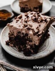 Chocolate Tres Leches Cake on a white plate.