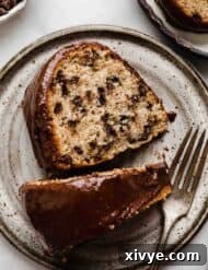Decadent Chocolate Chip Crown Cake 7 A slice of moist Chocolate Chip Bundt Cake with chocolate glaze on a gray plate.