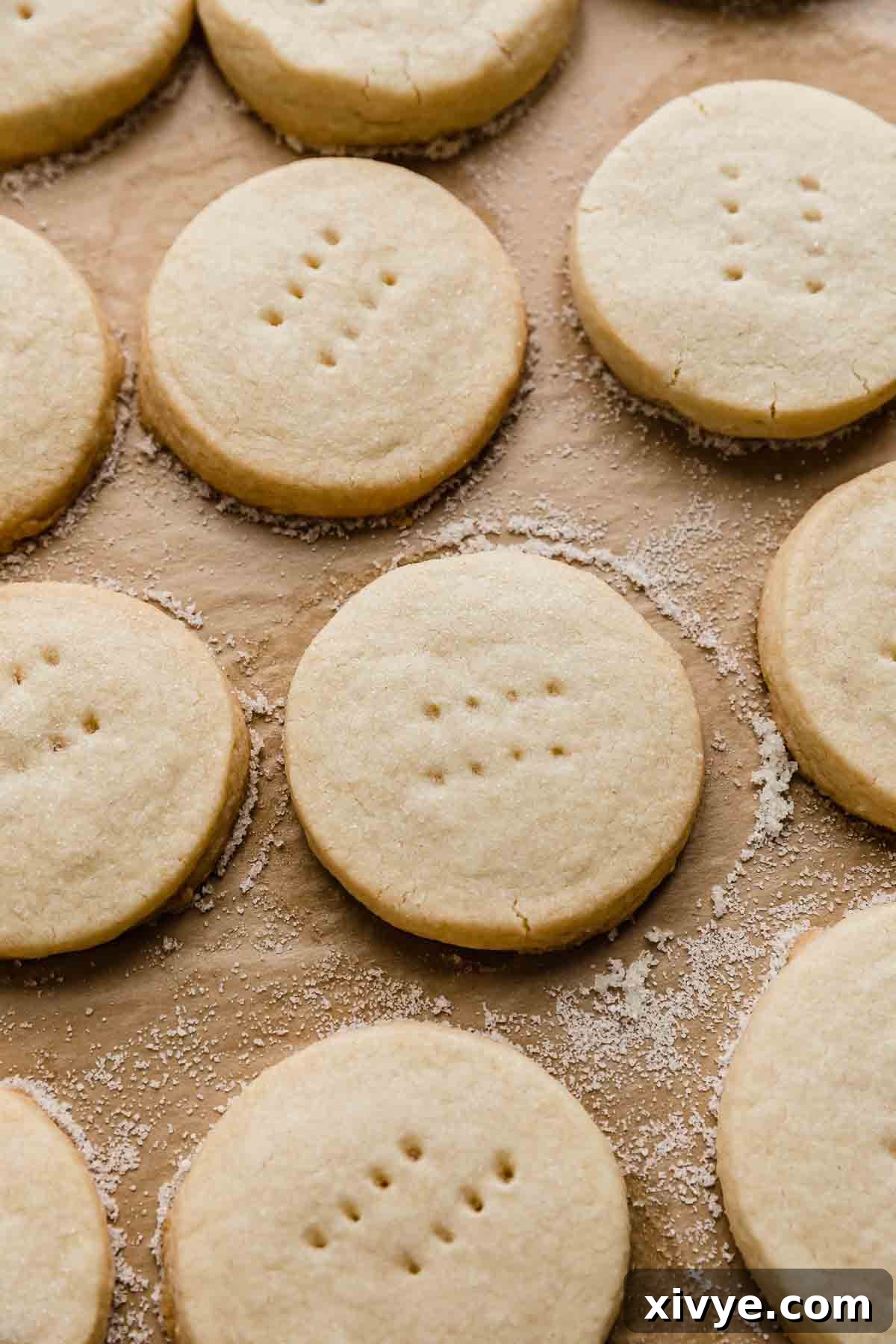 A cluster of round, golden shortbread cookies artfully arranged on a tan parchment paper, highlighting their perfect shape and texture.