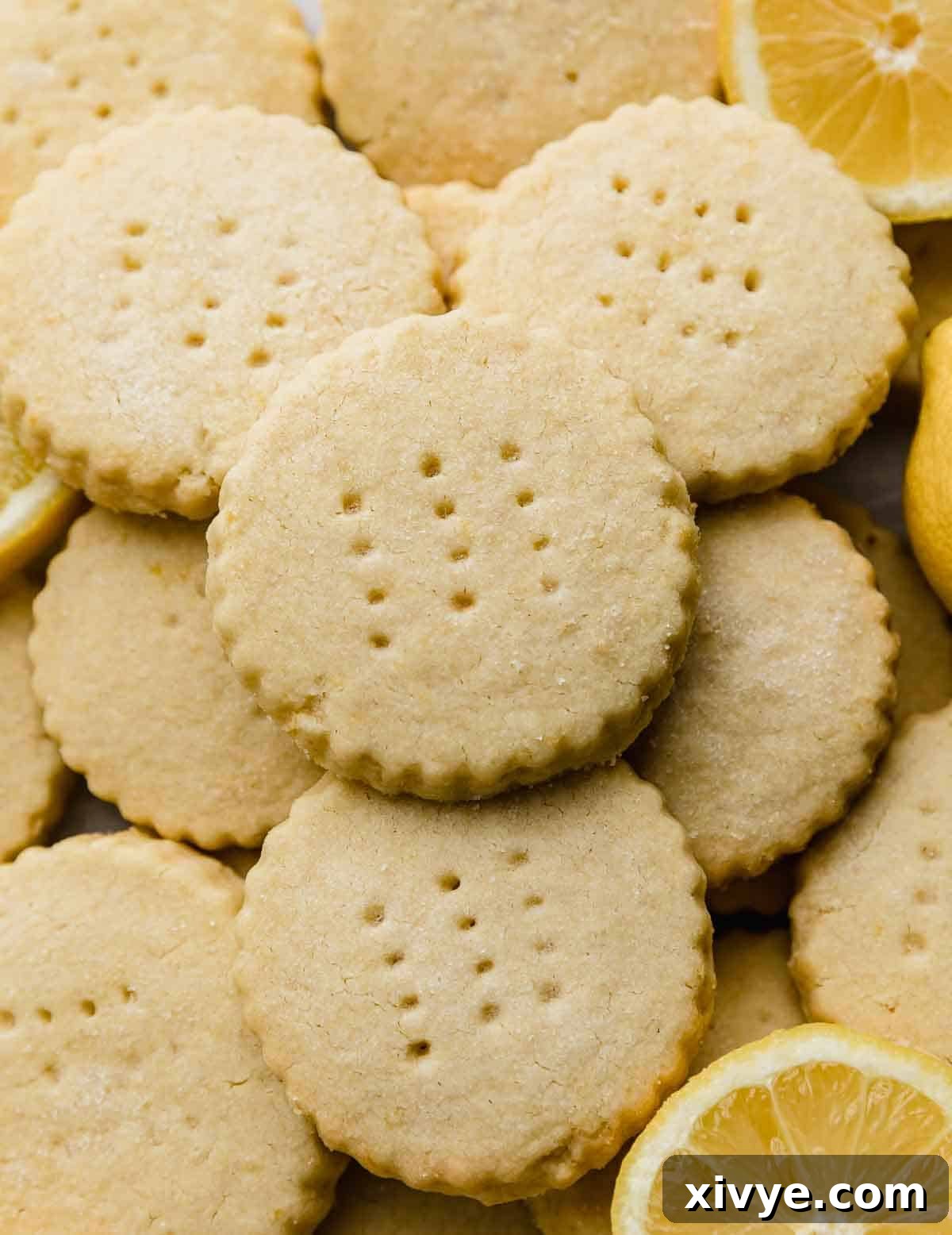 Round Lemon Shortbread Cookies, each perfectly pierced with fork tines on top, arranged for display.