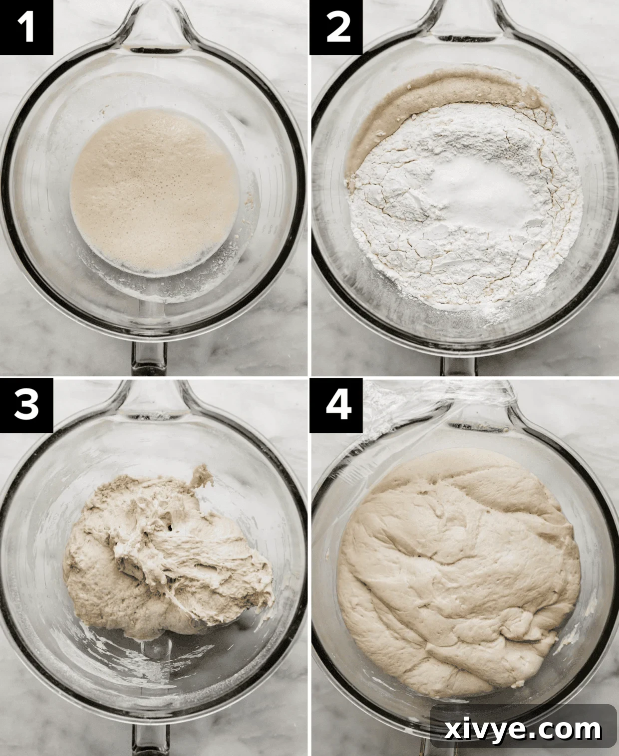 Restaurant Quality Pizza Dough Made Easy at Home 4 A four-panel image showing the progression of pizza dough making, from initial mixing to a fully risen dough ball, in a glass stand mixer bowl.