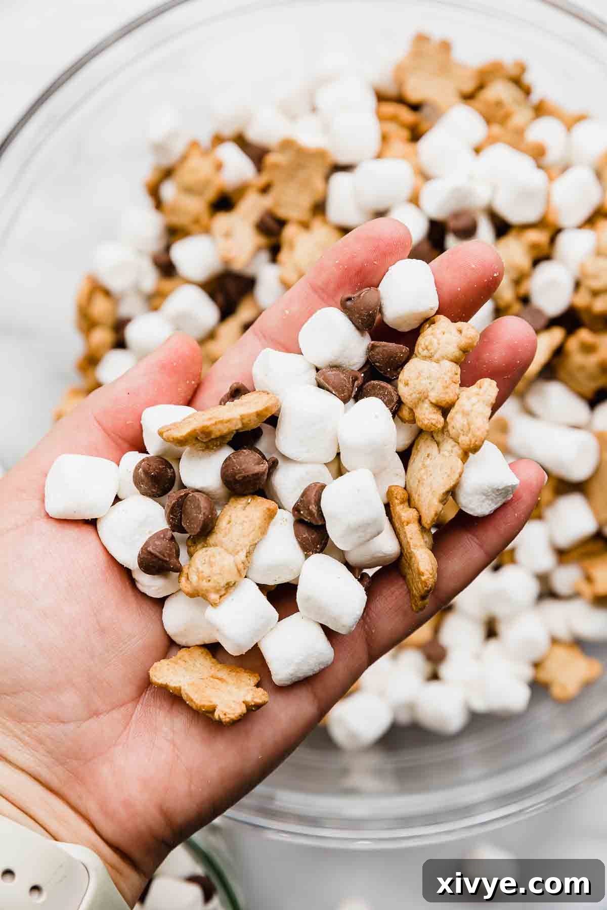 Smores Trail Mix 6 A hand gracefully holds a small portion of the delightful S'mores snack mix, presenting its inviting blend of marshmallows, chocolate chips, and Teddy Grahams.