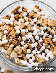 Smores Trail Mix 7 A large glass bowl filled with S'mores Mix: mini marshmallows, chocolate chips, and teddy grahams.