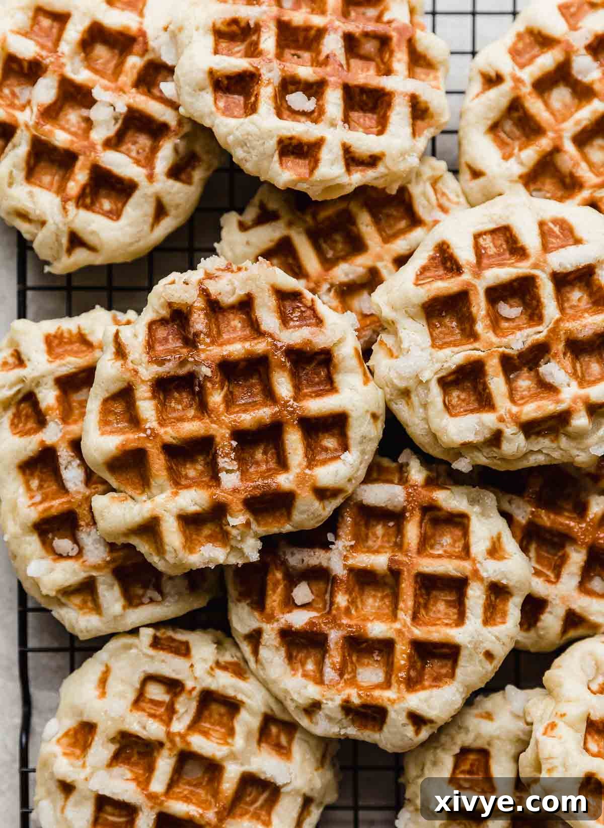 Belgian Liege Waffles on a white background, highlighting their unique texture and golden color.