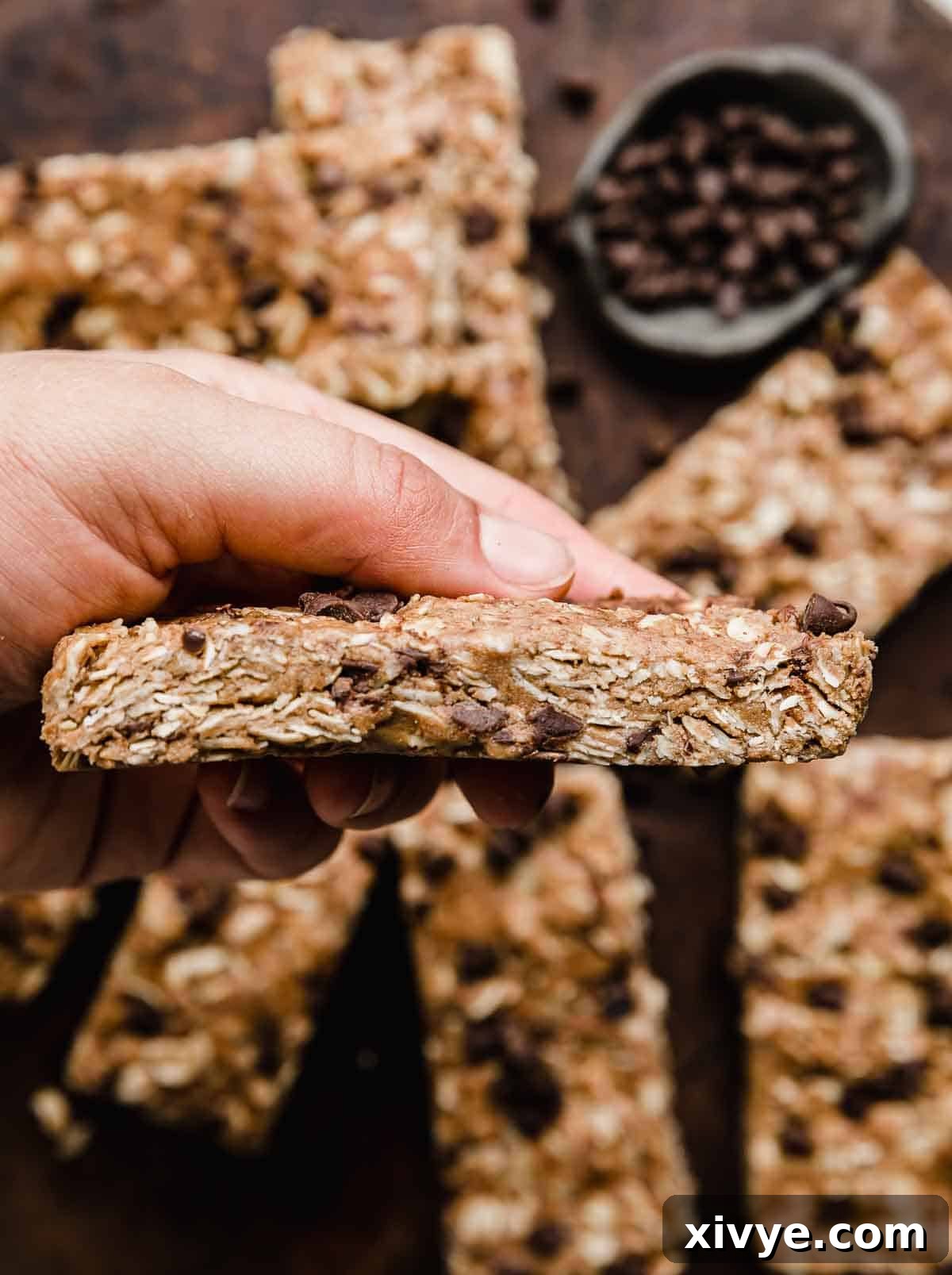 Irresistible Chocolate Peanut Butter Protein Bars 6 A hand confidently holding a perfectly portioned Chocolate Peanut Butter Protein Bar, showcasing its tempting texture and a glimpse of mini chocolate chips within its wholesome layers.