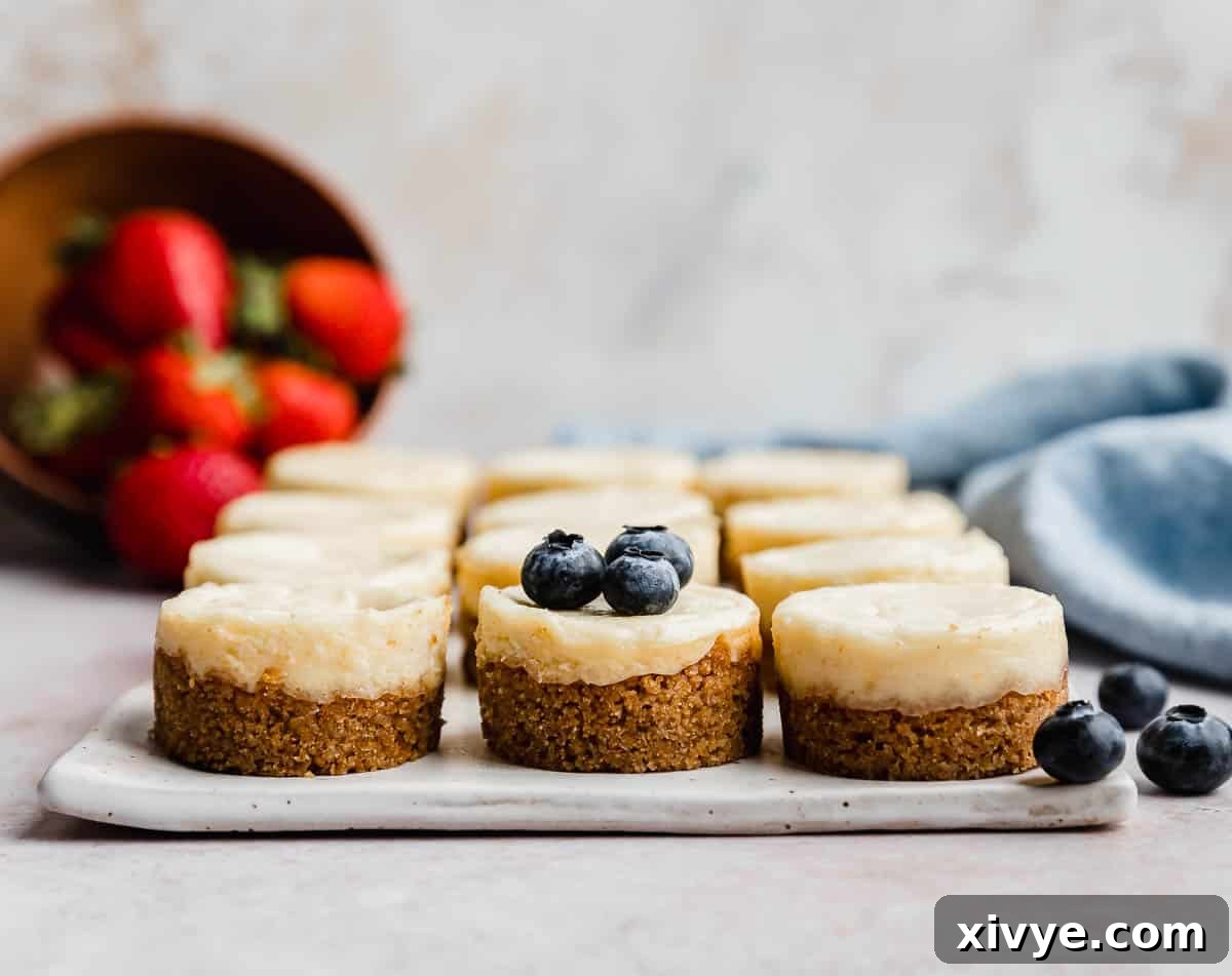 A white plate topped with twelve Mini Cheesecakes, the middle center cheesecake topped with three blueberries, and a bowl of strawberries in the background.