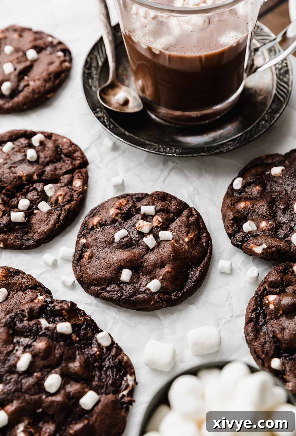 Hot Chocolate Cookies made with marshmallow bits, on a white background with a cup of hot cocoa in the background.