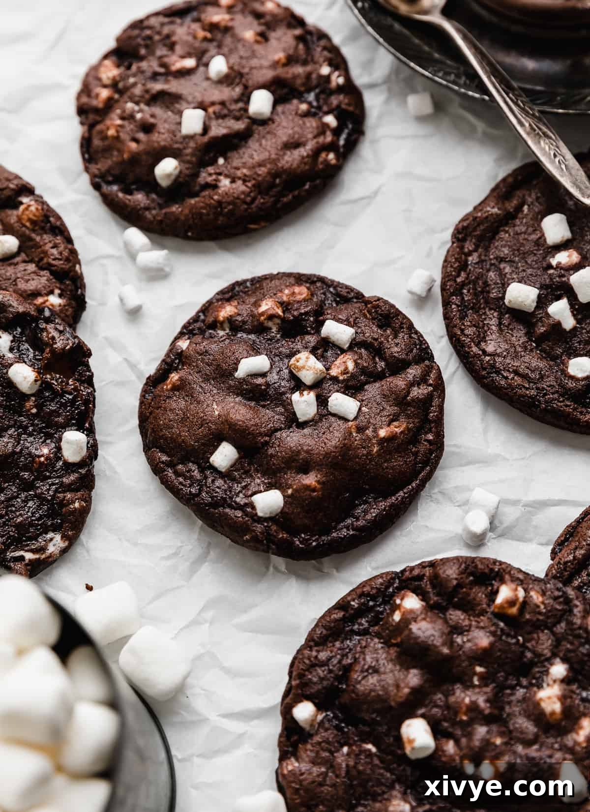 Hot Chocolate Cookies topped with mini marshmallows on a white background.