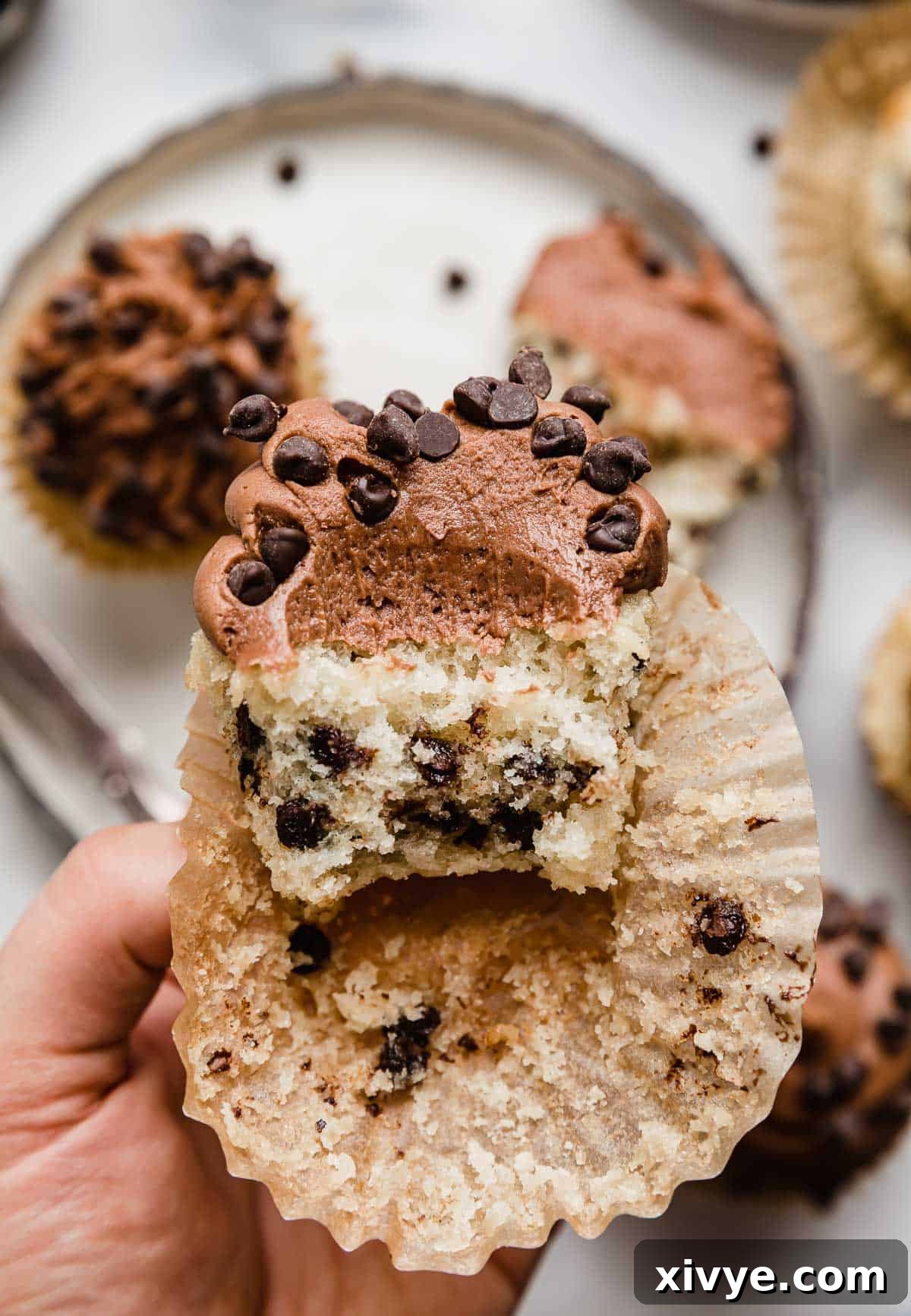 Fluffy Chocolate Chip Dream Cupcakes 2 A hand holding a chocolate chip cupcake with chocolate frosting, and a bite taken out of the cupcake!