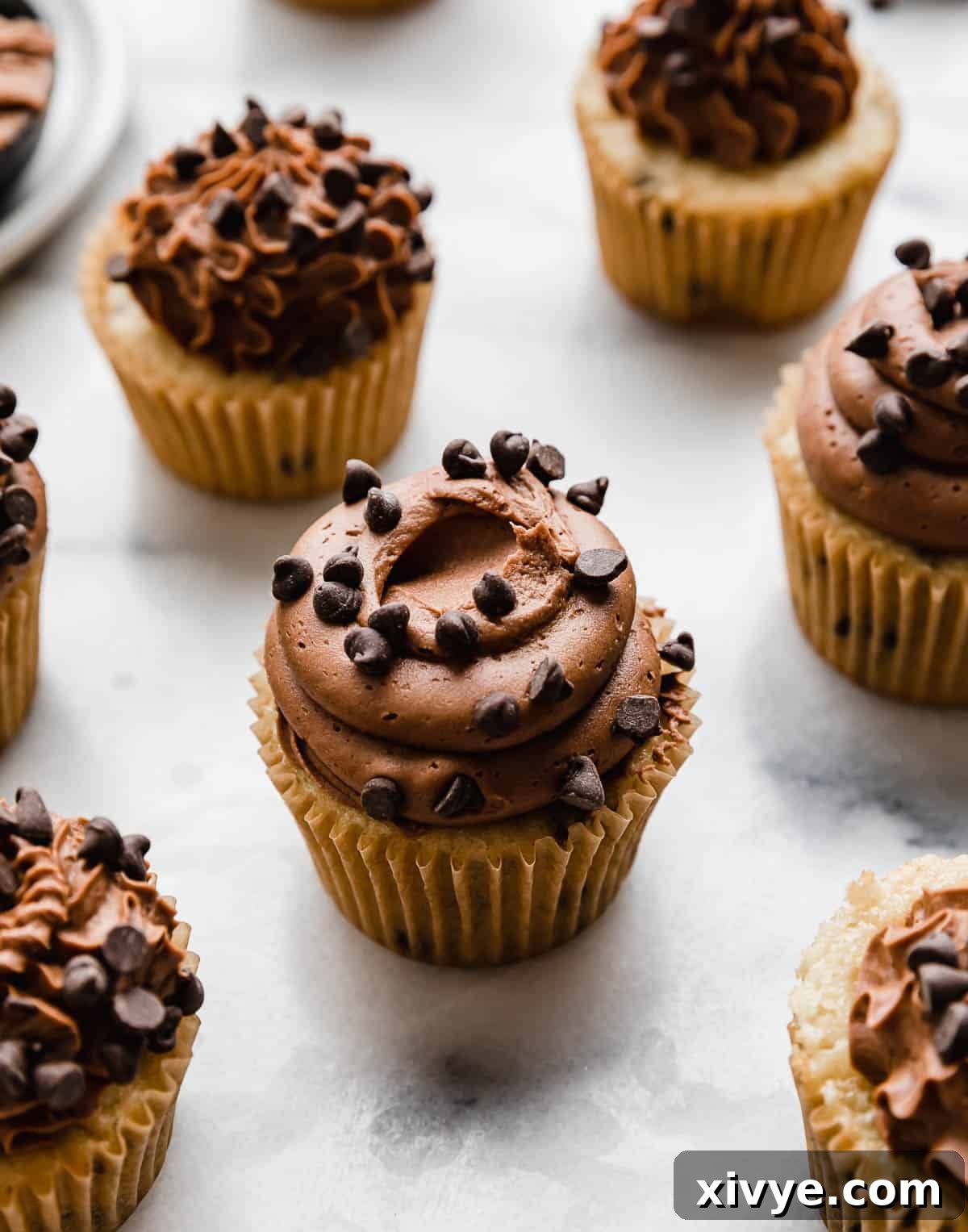 Fluffy Chocolate Chip Dream Cupcakes 7 Mini chocolate chip topped Chocolate Chip Cupcakes with a swirl of chocolate buttercream frosting on top!