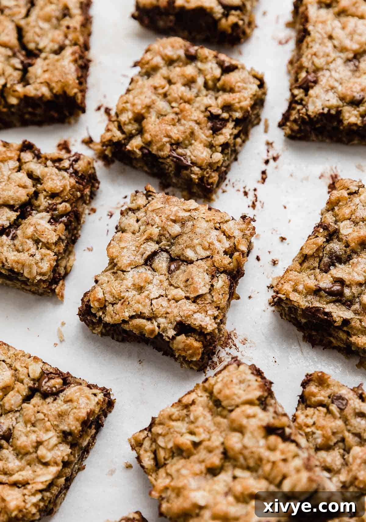 Perfectly baked chocolate chip oatmeal cookie bars, neatly cut into squares and presented on a clean white background, ready to be enjoyed.