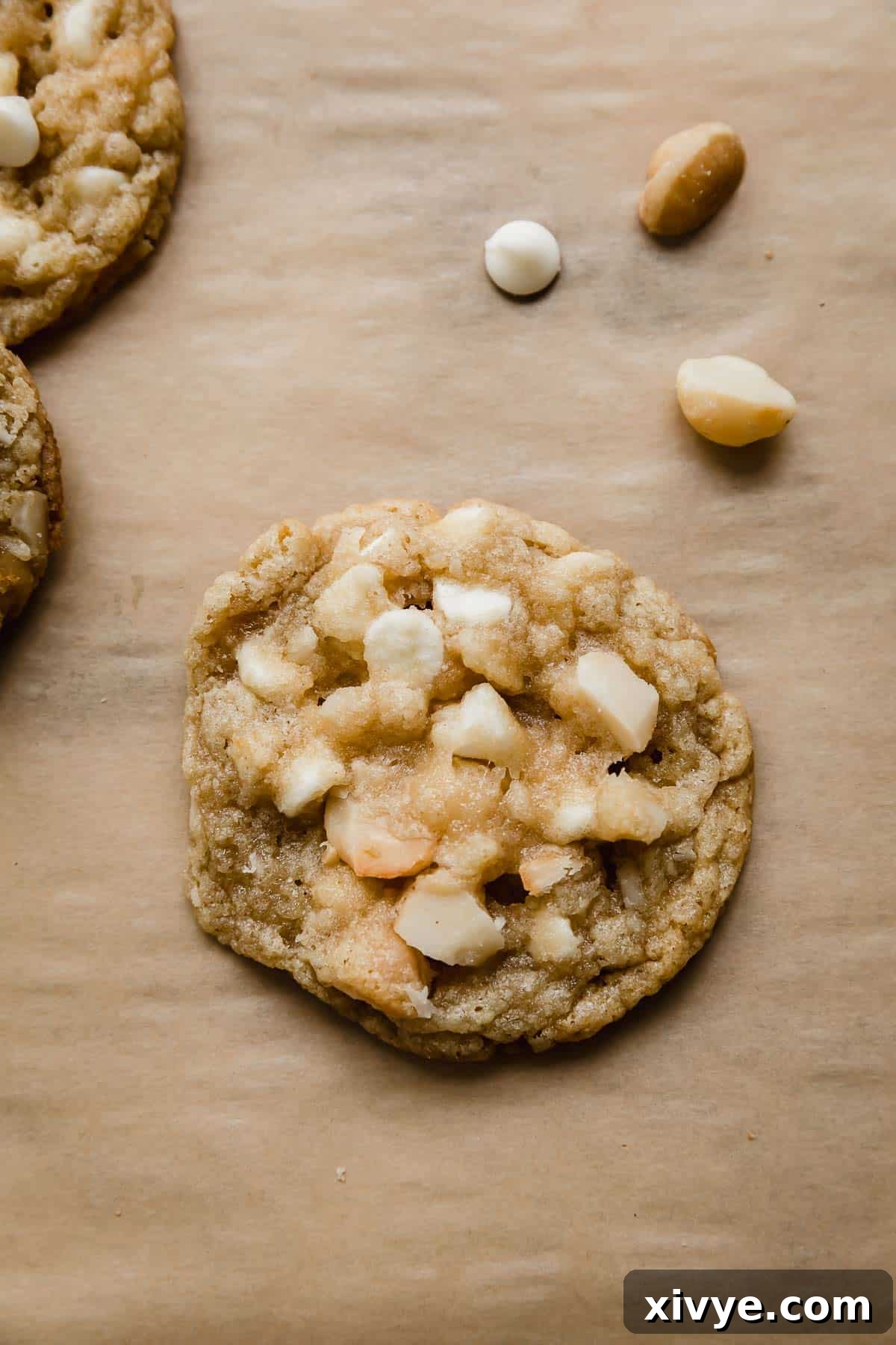 Gourmet White Chocolate Macadamia Treats 2 One White Chocolate Macadamia Nut Cookie on a Kraft colored parchment paper.